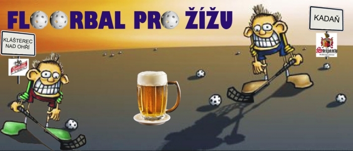 FLOORBAL PRO ͮU